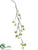 Berry Vine - Cream Green - Pack of 12