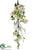 Dogwood Hanging Vine Bush - White - Pack of 2