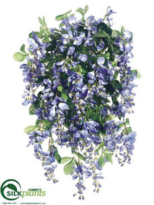 Wisteria Bush - Blue - Pack of 4