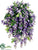 Wisteria Bush - Violet Blue - Pack of 4