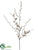Curly Willow Branch - Olive Green - Pack of 12