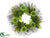 Dahlia, Succulent, Fern Wreath - Green Two Tone - Pack of 2