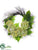 Hydrangea, Fern Wreath - Green - Pack of 2