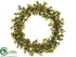 Silk Plants Direct Hops, Twig Wreath - Green - Pack of 1
