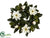 Magnolia Wreath - Cream - Pack of 2