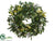 Protea, Sedum Wreath - Green - Pack of 1
