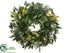 Silk Plants Direct Protea, Sedum Wreath - Green - Pack of 1