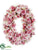 Nerine Lily, Rose Oval Wreath - Pink Cream - Pack of 1
