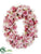 Nerine Lily, Rose Oval Wreath - Pink Cream - Pack of 1