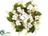 Silk Plants Direct Dogwood, Fern Wreath - White - Pack of 2