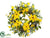 Rudbeckia, Morning Glory Wreath - Yellow - Pack of 4