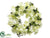 Phalaenopsis Orchid, Skimmia Wreath - Green Two Tone - Pack of 1