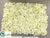 Hydrangea Mat - Cream White - Pack of 3