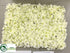 Silk Plants Direct Hydrangea Mat - Cream White - Pack of 3