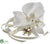 Phalaenopsis Orchid Wrist Corsage - White - Pack of 24