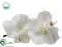 Silk Plants Direct Phalaenopsis Orchid Boutonniere - White - Pack of 12
