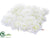 Silk Plants Direct Rose Mat - White - Pack of 6