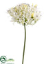 Silk Plants Direct Agapanthus Spray - White - Pack of 12