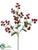 Double Baby's Breath Spray - Burgundy - Pack of 24