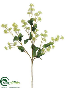 Double Baby's Breath Spray - Blue Delphinium Blue Royal Blue Williamsburg Cream Green - Pack of 24