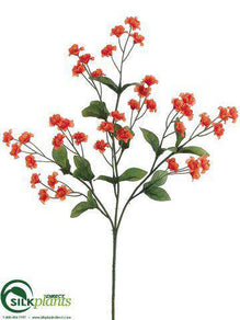 Double Baby's Breath Spray - Flame - Pack of 24