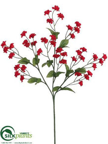 Double Baby's Breath Spray - Red - Pack of 24