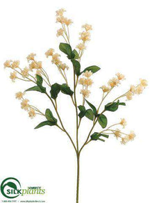 Double Baby's Breath Spray - Yellow - Pack of 24