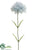 Large Carnation Spray - Blue Baby - Pack of 24
