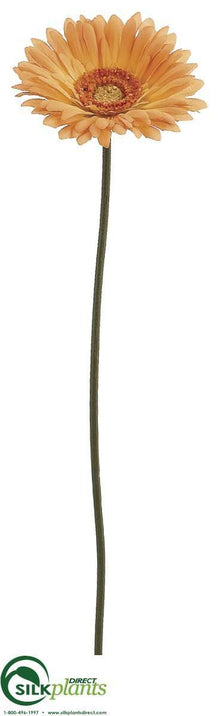 Gerbera Daisy Spray - Gold Yellow - Pack of 12