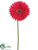 Gerbera Daisy Spray - Red Deep - Pack of 12