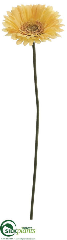 Gerbera Daisy Spray - Yellow - Pack of 12