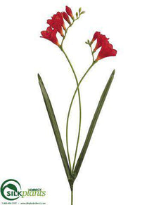 Freesia Spray - Orange - Pack of 12