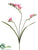 Freesia Spray - Pink - Pack of 12