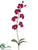 Phalaenopsis Orchid Spray - Fuchsia - Pack of 12