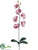 Phalaenopsis Orchid Spray - Lavender - Pack of 12