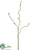 Curly Willow Spray - Green - Pack of 12