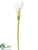 Calla Lily Spray - White - Pack of 24