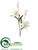 Tiger Lily Spray - Ivory - Pack of 12