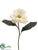 Magnolia Spray - Cream White - Pack of 12