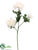 Chrysanthemum Mum Spray - Ivory - Pack of 12