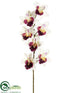 Silk Plants Direct Cymbidium Orchid Spray - Orchid Cream - Pack of 24