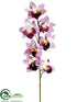 Silk Plants Direct Cymbidium Orchid Spray - Orchid - Pack of 24