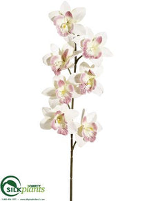 Cymbidium Orchid Spray - Peach Cream - Pack of 24