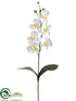 Silk Plants Direct Orchid Spray - Cream White - Pack of 12