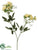 Rambling Rose Spray - Yellow - Pack of 12