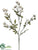 Rose Spray - Cream White - Pack of 12