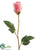 Rose Bud Spray - Pink Two Tone - Pack of 24