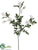 Rose Spray - White - Pack of 12