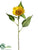 Sunflower Spray - Yellow - Pack of 24