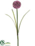 Silk Plants Direct Allium Spray - Lilac - Pack of 12